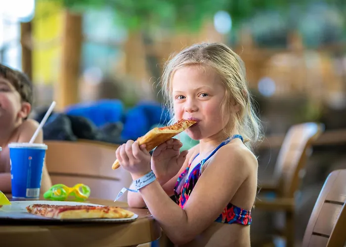 Timber Ridge Lodge And Waterpark