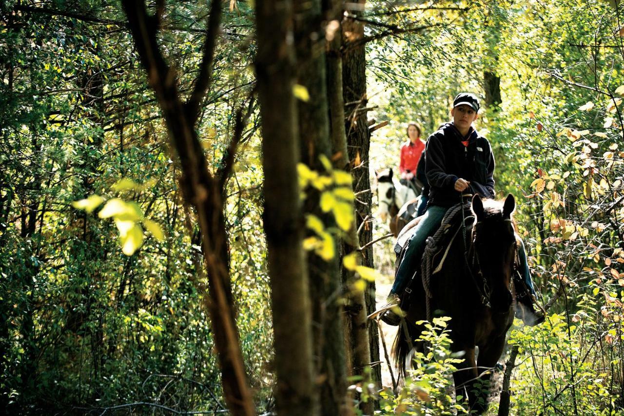 Timber Ridge And Waterpark 3*